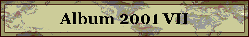 Album 2001 VII