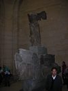 Foto n.120
