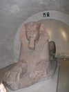 Foto n.29