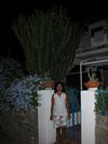 Foto n.336